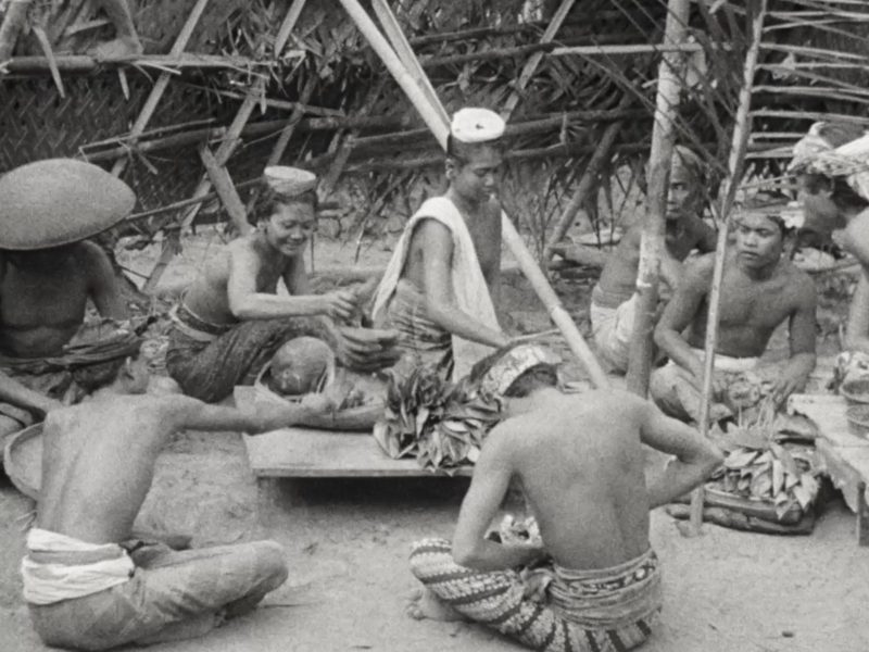 Image 4-11-25 at 7.45 PM